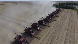 26 Combines  Canadian Foodgrains Bank Canola Harvest 2017  Killarney [upl. by Anhaj]