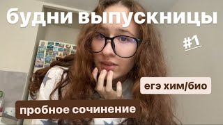 дневник выпускницы 1егэ химия биологияпробное итоговое сочинение [upl. by Aiym587]