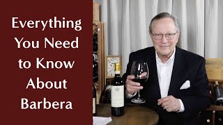 Everything You Need to Know About Barbera  An Italian Red Wine amp Hidden Treat [upl. by Kathy]