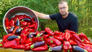 AJVAR  Zimnica od paprika i patlidžana Supruga pomogla [upl. by Irac]