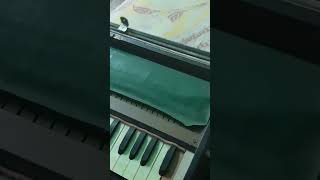 इस धुन को पहचानिए। harmonium art musicvlog [upl. by Daryn278]