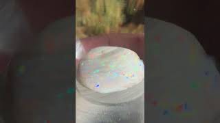 Precious Gem Opalized Shell from Coober Pedy South Australia [upl. by Lupita33]