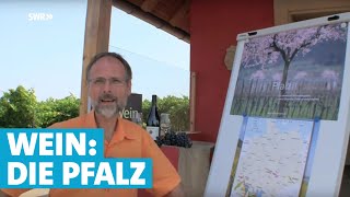 Werner erklärt Wein Die Pfalz [upl. by Enneiluj988]