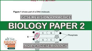 GCSE Biology Paper 2  Exam Questions and Revision [upl. by Leunas]