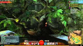 Guild Wars 2  Lightfoot Passage Vista Straits of Devastation [upl. by Notac]