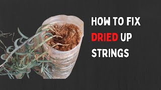 HOW TO FIX DRIED UP STRINGS [upl. by Nytsyrk194]