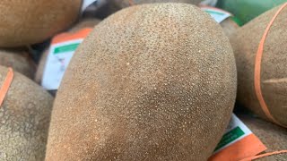 How to eat and cut open Mamey Sapote Fruit [upl. by Nowyt]