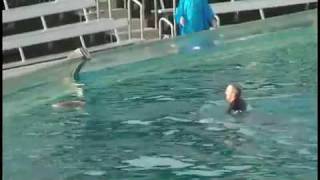 Sea World Shamu kills trainer VIDEO [upl. by Aramoix]