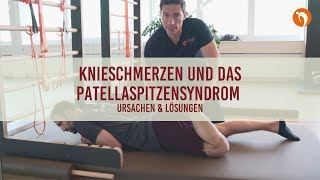 Knieschmerzen und das Patellaspitzensyndrom  Ursachen und Lösungen I Wolf on Tour Folge 27 [upl. by Adyol718]