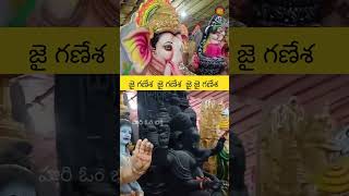 hyderabad ganesh 2024  eco friendly ganesh ganesh ganapati bappa moriya trending ytshorts [upl. by Assened]