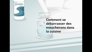 Comment se débarrasser des moucherons dans la cuisine [upl. by Eamaj]