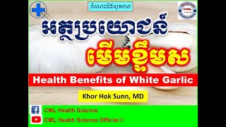 អត្ថប្រយោជន៍មើមខ្ទឹមស l Health Benefits of White Garlic l មើមរុក្ខជាតិសុខភាព​ l CML Health Science [upl. by Wolfe922]