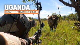 Bowhunting Buffalo Craziest and wildest hunt I have experienced in Africa [upl. by Aedni]