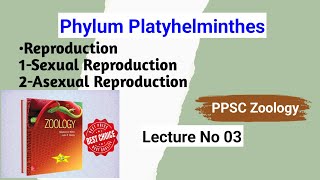 Reproduction In Phylum Platyhelminthes  PPSC Zoology  Invertebrates And Chordates  Lecture No 03 [upl. by Fraser180]