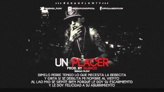 Ñengo Flow  Un Placer Letra [upl. by Raamal]