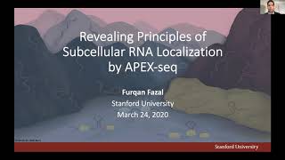 Revealing Principles of Subcellular RNA Localization by APEXSeq  Furqan Fazal  ISCBacademy [upl. by Dijam664]