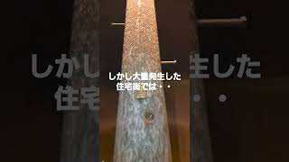 雪虫大発生 夜はどこにいる？ 少しだけ観覧注意 札幌市南区 雪虫 札幌 [upl. by Madea]