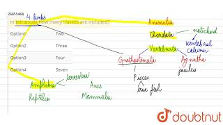 In tetrapoda how many classes are included [upl. by Arocat]