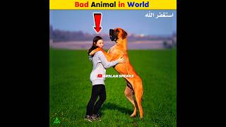 Bad Animal in World  Arslan Speaks facts shortsfeed arslanspeaks amazingfacts [upl. by Ecinreb]