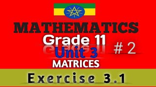 Grade 11 Maths Unit 3 MATRICES  2 Exercise 31 Maths With FikruNew Curriculum [upl. by Weinberg408]