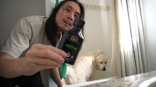 DRINKING AN ENERGY ELIXIR TO HELP ME BATHE MY DOG [upl. by Eisyak]