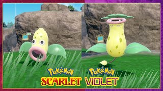 Pokemon Scarlet amp Violet How To Evolve Weepinbell Into Victreebel [upl. by Llerrem717]