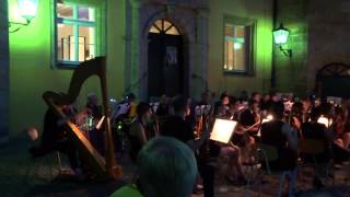 Collegium Musicium Hersbruck mit der Serenade am Schlosshof 2014 [upl. by Shaia]