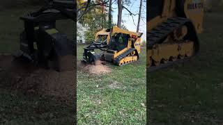 Mulching and stumping landclearing brushremoval forestrymulching beforeandafter brush stumps [upl. by Havelock]