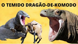 DRAGÃODEKOMODO O LAGARTO VENENOSO GIGANTE DAS ILHAS DA INDONÉSIA [upl. by Gweneth399]