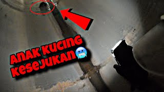 💢DUA HARI KELAPARAN DALAM SEWER😭 CELORENG BOMBA [upl. by Armalda962]