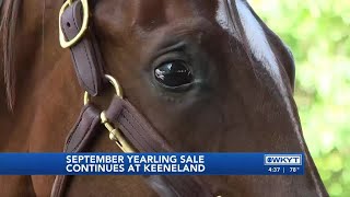 WATCH  September Yearling Sale continues at Keeneland [upl. by Amadeus654]