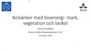 Kolsänkor med bioenergi mark vegetation och biokol [upl. by Trenna]