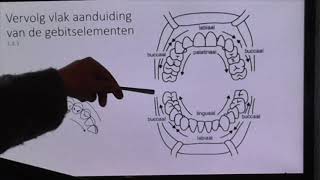 Hoorcollege tandheelkundige anatomie en pathologie BBL bijeenkomst 2 deel 2 [upl. by Nav]