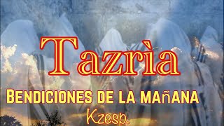 Tazrìa 5782 [upl. by Taylor]