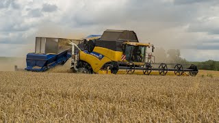 Récupération de menue paille avec une remorque Thiérart et une New Holland CR9070  ETA Willemet [upl. by Agosto20]