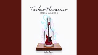 Mystic Riffs Techno Flamenco [upl. by Ahsimaj]