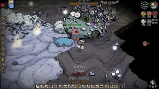 Dont Starve Together 07 20241020 [upl. by Luehrmann]