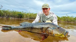 2024 Amazon Trip Preview With Bucket List Fly Fishing [upl. by Alice557]