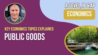 Public Goods Explained for A Level amp IB Economics [upl. by Nylirrej846]