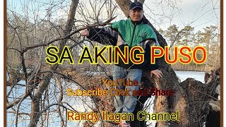 SA AKING PUSOKAYE CALcover song Randy [upl. by Ardnekal]