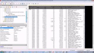 Compleo Explorer  Importacion a Excel desde un Spool  2 de 2 Ejemplo Avanzado [upl. by Froma]