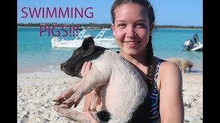 Swimming pigs iguanas stingrays and castaway islands [upl. by Yalahs]