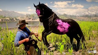 ARTHUR CATCH A BEST CHAROITE HORSE  RDR2 GAMEPLAY [upl. by Sally338]