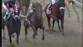 Afleet Alex Preakness Stakes 2005  overview of near fall [upl. by Ilatfen532]