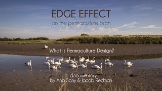 What is Permaculture Design in 3min [upl. by Eyllom]