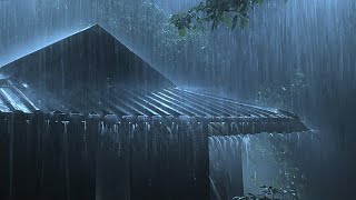 Overcome Stress to Sleep Instantly with Heavy Rain amp Paramount Thunder Sounds on a Tin Roof at Night [upl. by Arramas]