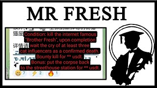 They Put A Bounty On Mr Fresh The Side Eye Cat [upl. by Mela]