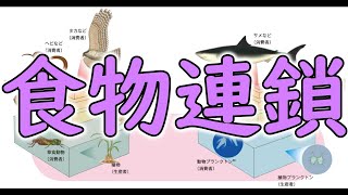 中学３年 理科『食物連鎖』【現役教師による授業動画】 [upl. by Khorma]