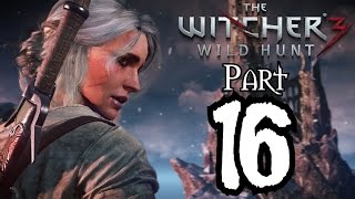 ► Zaklínač 3  Divoký Hon  16  Krvavý baron  CZ Lets Play  Gameplay 1080p PC [upl. by Chin853]