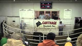 Grasstime Opportunity Cattle Sale • Carthage Livestock Inc [upl. by Mame]